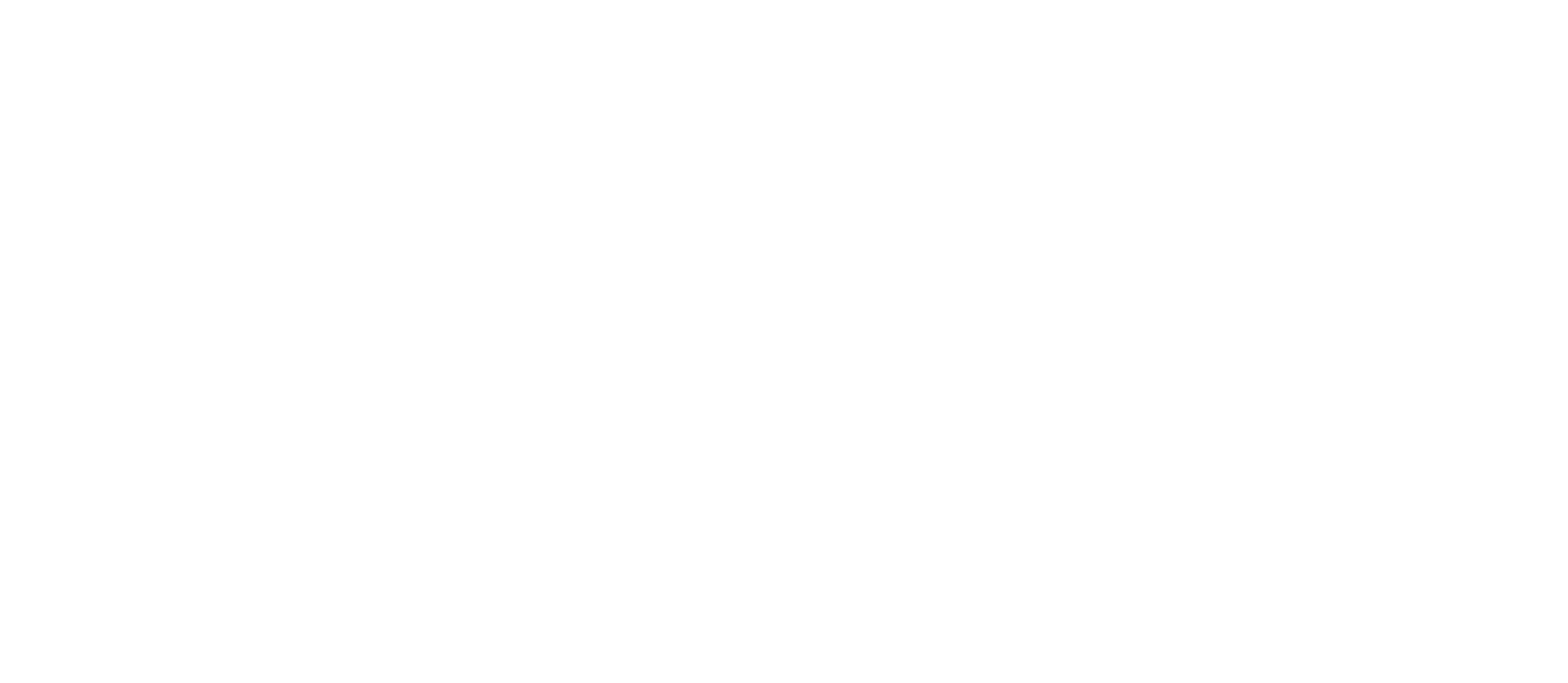 Metonga Media logo white version