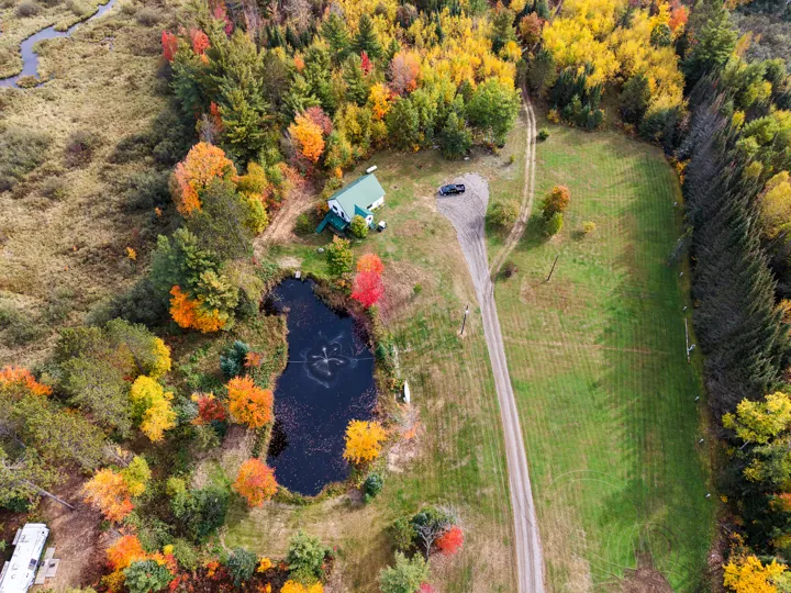 Aerial view of the pond and autumn trees